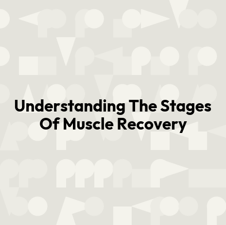 Understanding The Stages Of Muscle Recovery